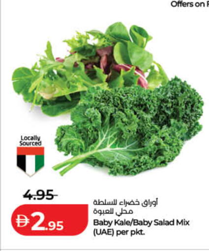 Kale available at لولو هايبرماركت in الإمارات العربية المتحدة , الامارات - أم القيوين‎