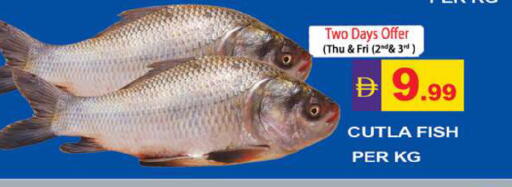 available at Gulf Hypermarket LLC in UAE - Ras al Khaimah