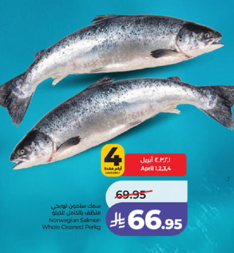 available at لولو هايبرماركت in مملكة العربية السعودية, السعودية, سعودية - جدة