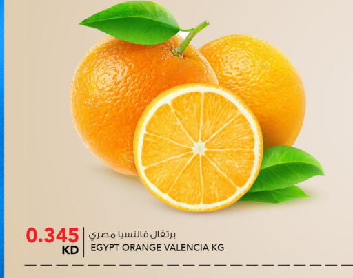 Orange available at  ALNASSER HYPERMARKET in Kuwait - Kuwait City