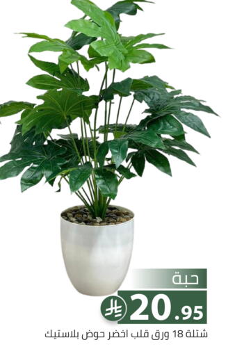 available at Family Discount in KSA, Saudi Arabia, Saudi - Riyadh