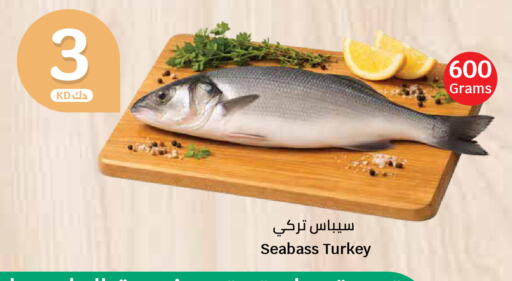 available at سيتي هايبرماركت in الكويت - محافظة الجهراء