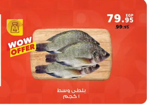 available at Panda  in Egypt - Cairo