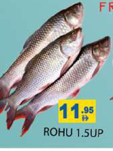 available at Zain Mart Supermarket in UAE - Ras al Khaimah