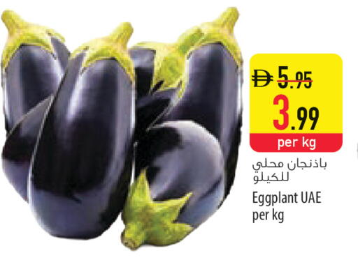 Eggplant available at Safeer Market in UAE - Ras al Khaimah