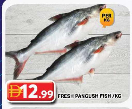 available at جراند هايبر ماركت in الإمارات العربية المتحدة , الامارات - دبي