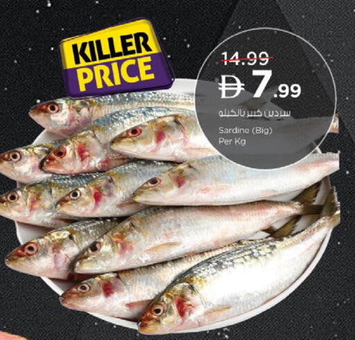 available at نستو هايبرماركت in الإمارات العربية المتحدة , الامارات - ٱلْعَيْن‎