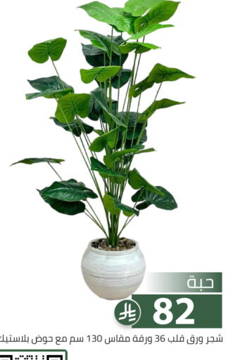 available at Family Discount in KSA, Saudi Arabia, Saudi - Riyadh