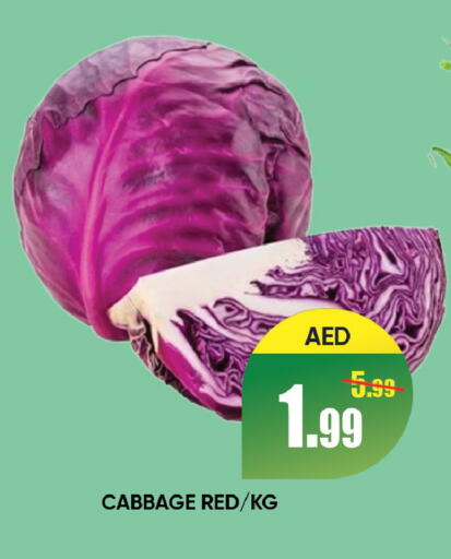 Cabbage available at ليبتس هايبرماركت in الإمارات العربية المتحدة , الامارات - رَأْس ٱلْخَيْمَة
