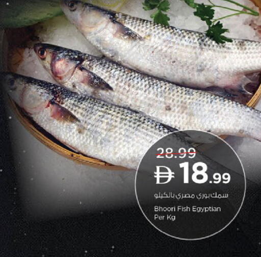 available at نستو هايبرماركت in الإمارات العربية المتحدة , الامارات - ٱلْعَيْن‎