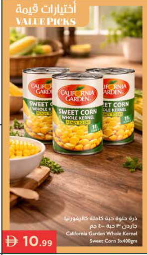 available at إسطنبول سوبرماركت in الإمارات العربية المتحدة , الامارات - ٱلْعَيْن‎