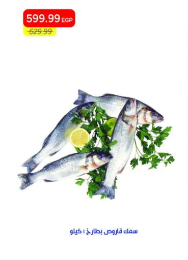 available at مترو ماركت in Egypt - القاهرة