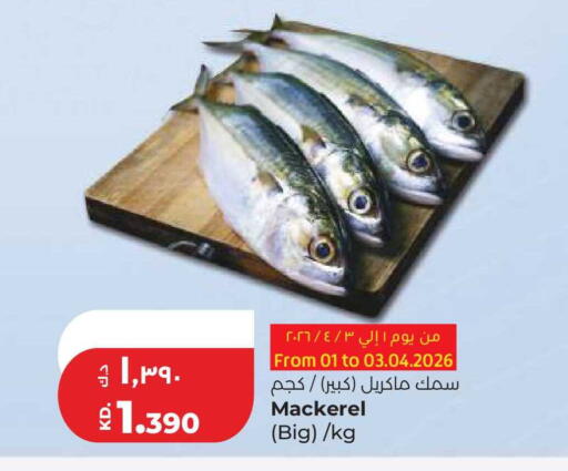 available at لولو هايبر ماركت in الكويت - محافظة الجهراء