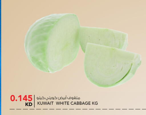 Cabbage available at  ALNASSER HYPERMARKET in Kuwait - Kuwait City
