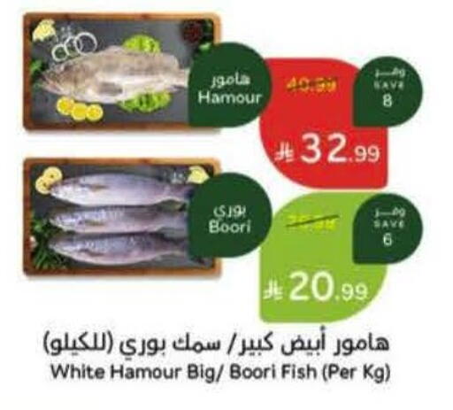 available at Hyper Panda in KSA, Saudi Arabia, Saudi - Khamis Mushait