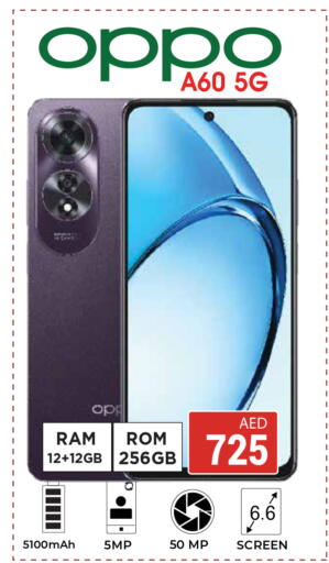 available at كيرالا هايبرماركت in الإمارات العربية المتحدة , الامارات - رَأْس ٱلْخَيْمَة