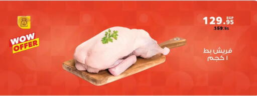 available at بنده in Egypt - القاهرة