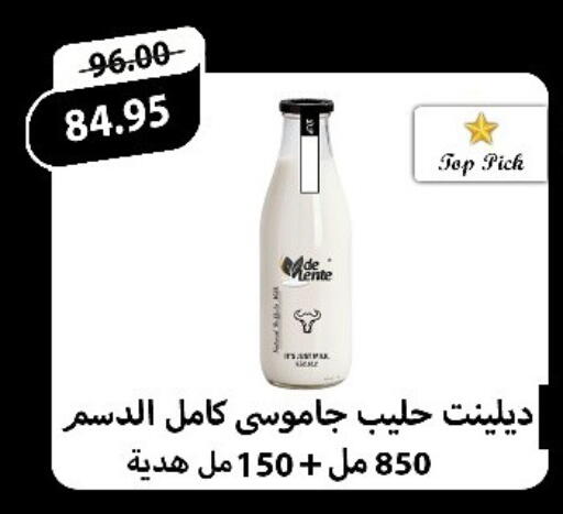 available at اسواق الضحى in Egypt - القاهرة