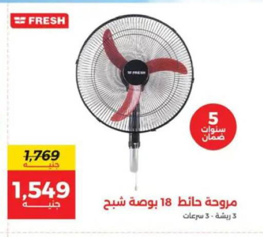 available at رنين in Egypt - القاهرة