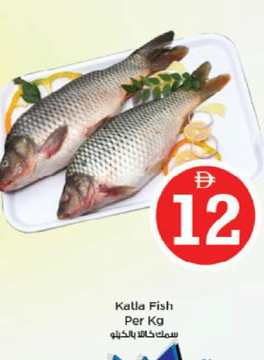 available at Nesto Hypermarket in UAE - Fujairah