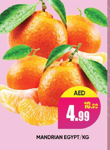 from Egypt available at Leptis Hypermarket  in UAE - Ras al Khaimah