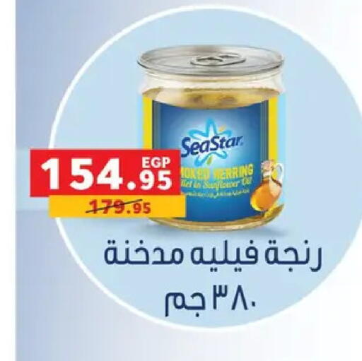 available at بنده in Egypt - القاهرة