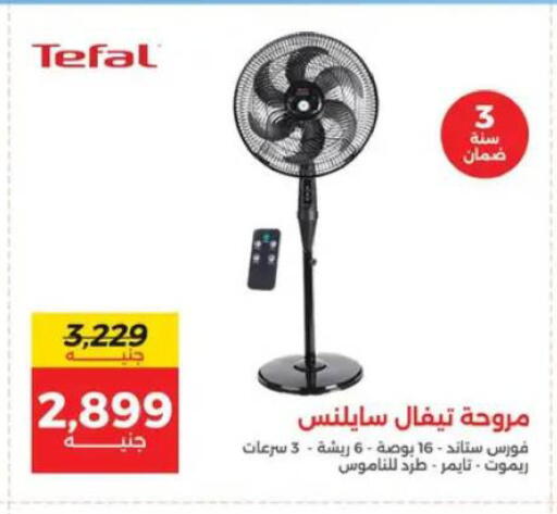 available at رنين in Egypt - القاهرة