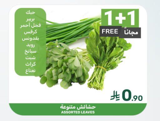 available at  مـزايــا in مملكة العربية السعودية, السعودية, سعودية - القطيف‎