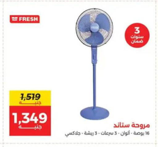 available at رنين in Egypt - القاهرة