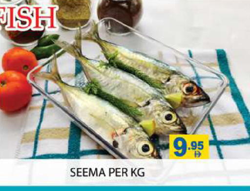 available at Zain Mart Supermarket in UAE - Ras al Khaimah