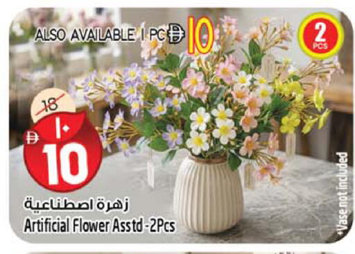 available at Safari Hypermarket in UAE - Sharjah / Ajman