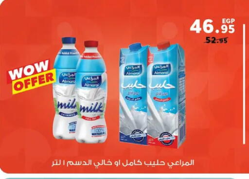 available at Panda  in Egypt - Cairo