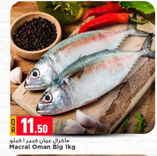 available at مرزا هايبرماركت in قطر - الشمال