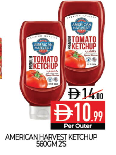 Tomato available at Delice Supermarket in UAE - Abu Dhabi