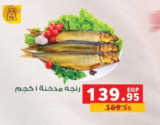 available at بنده in Egypt - القاهرة