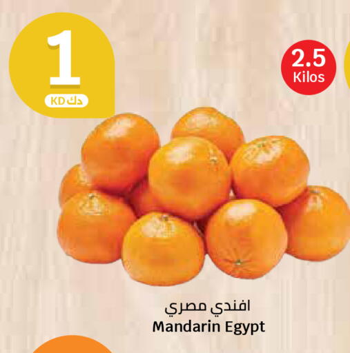 Mandarin from Egypt available at سيتي هايبرماركت in الكويت - محافظة الجهراء