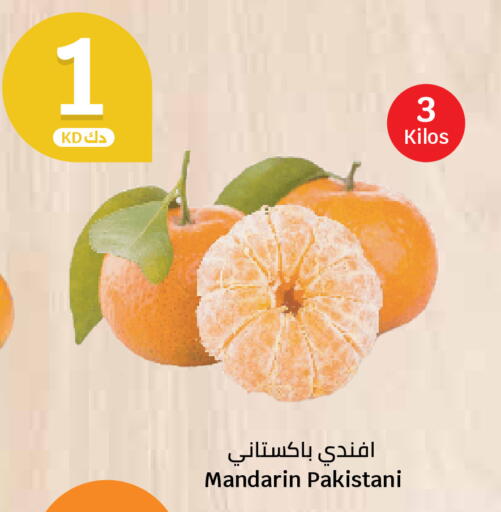 Mandarin from Pakistan available at سيتي هايبرماركت in الكويت - محافظة الجهراء
