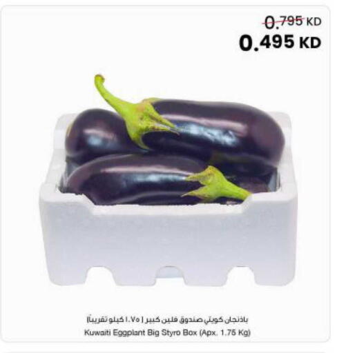 Eggplant available at The Sultan Center in Kuwait - Kuwait City