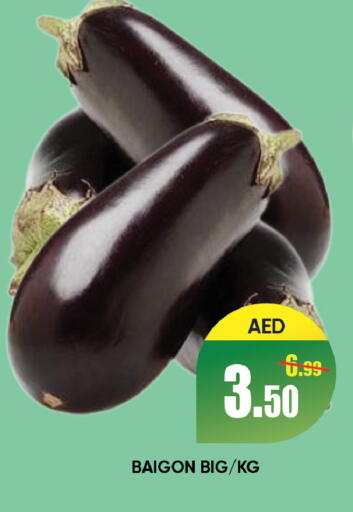 available at ليبتس هايبرماركت in الإمارات العربية المتحدة , الامارات - رَأْس ٱلْخَيْمَة