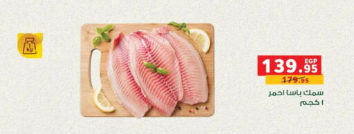 available at بنده in Egypt - القاهرة