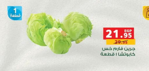 available at بنده in Egypt - القاهرة