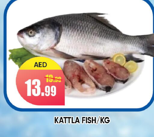 available at Leptis Hypermarket  in UAE - Ras al Khaimah