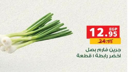 available at بنده in Egypt - القاهرة