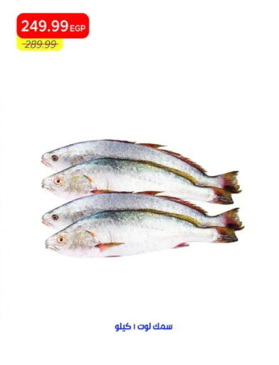 available at Metro Market  in Egypt - Cairo