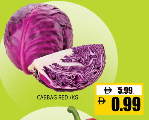 available at ليبتس هايبرماركت in الإمارات العربية المتحدة , الامارات - ٱلْعَيْن‎