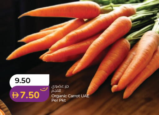 Carrot available at لولو هايبرماركت in الإمارات العربية المتحدة , الامارات - دبي