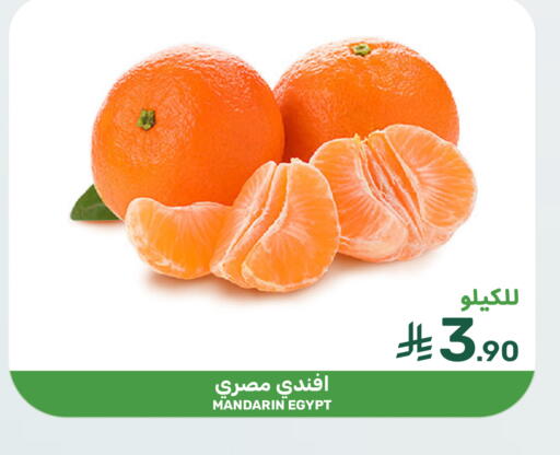 Mandarin from Egypt available at Mazaya in KSA, Saudi Arabia, Saudi - Qatif