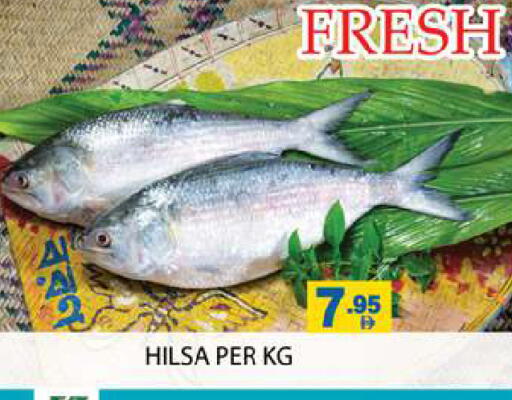 available at Zain Mart Supermarket in UAE - Ras al Khaimah