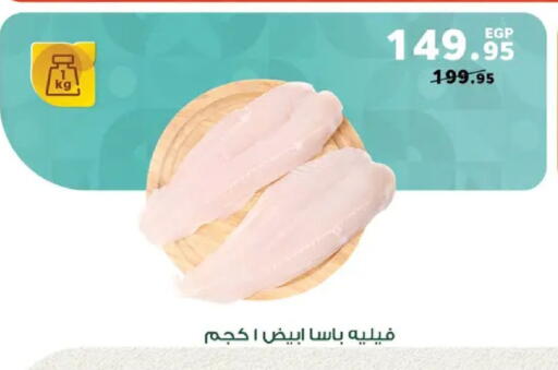 available at Panda  in Egypt - Cairo