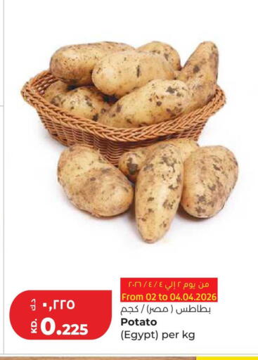 Potato from Egypt available at لولو هايبر ماركت in الكويت - محافظة الجهراء